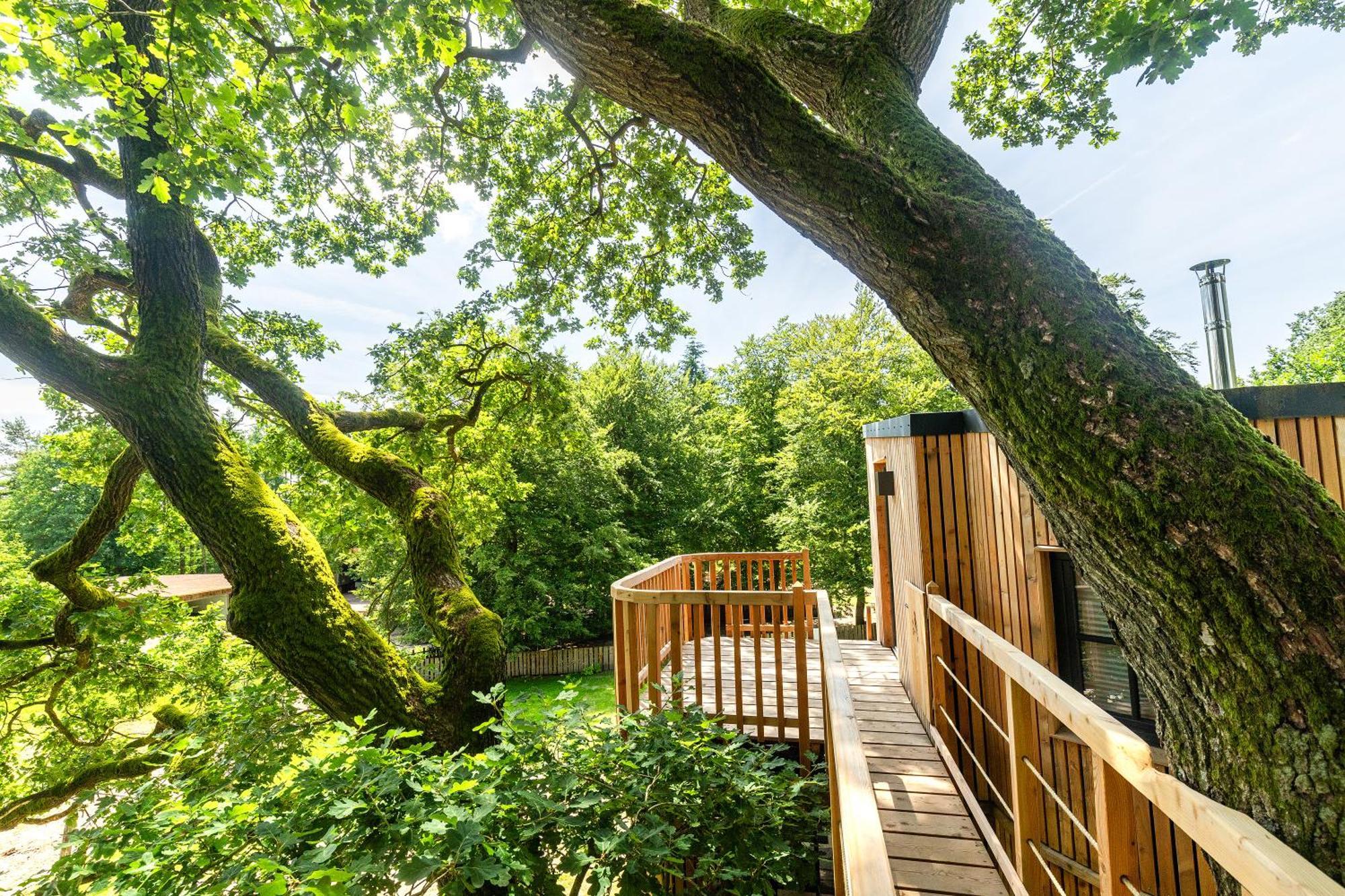 Heide Ferien - Hof Bockelmann Daire Bispingen Oda fotoğraf