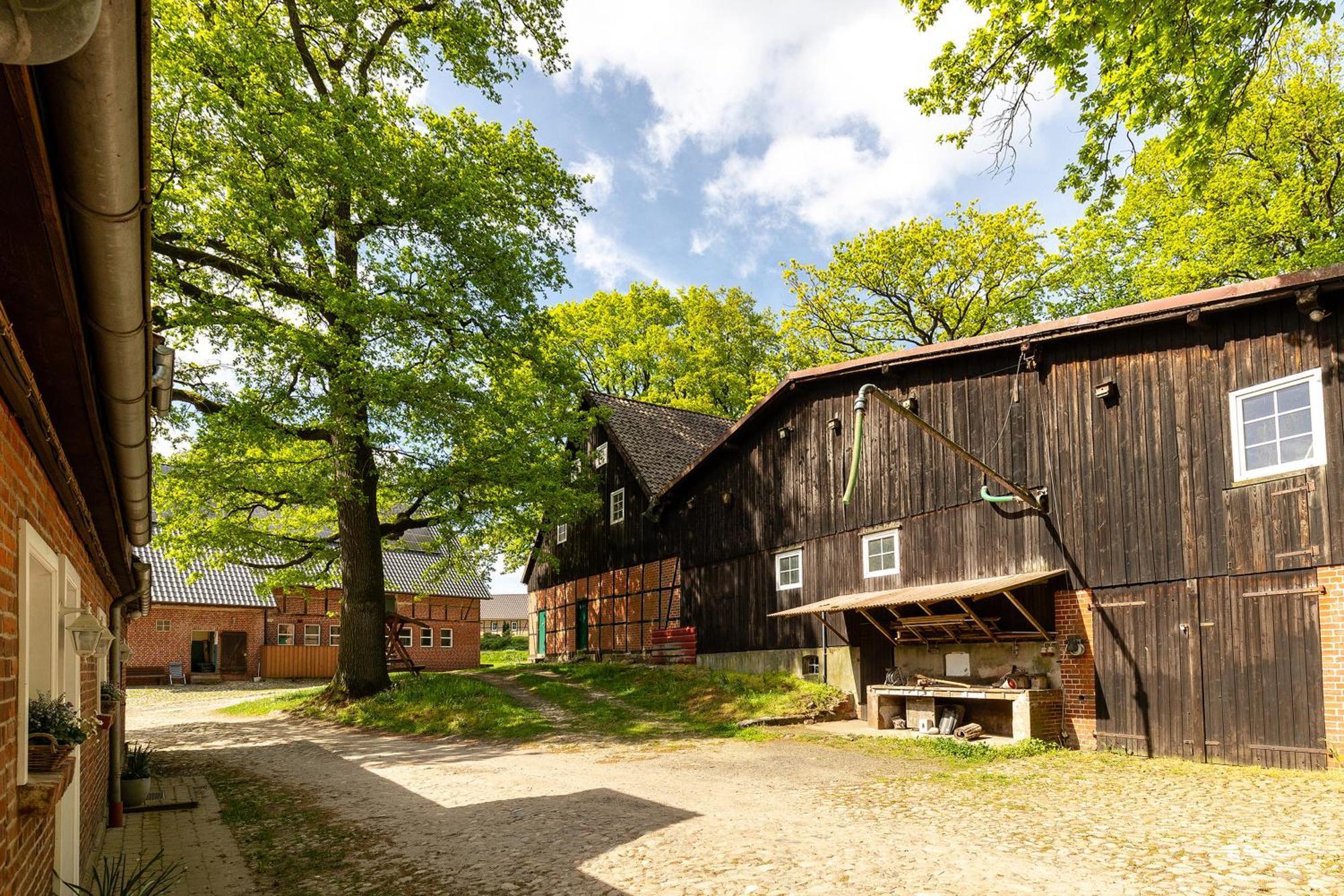 Heide Ferien - Hof Bockelmann Daire Bispingen Dış mekan fotoğraf