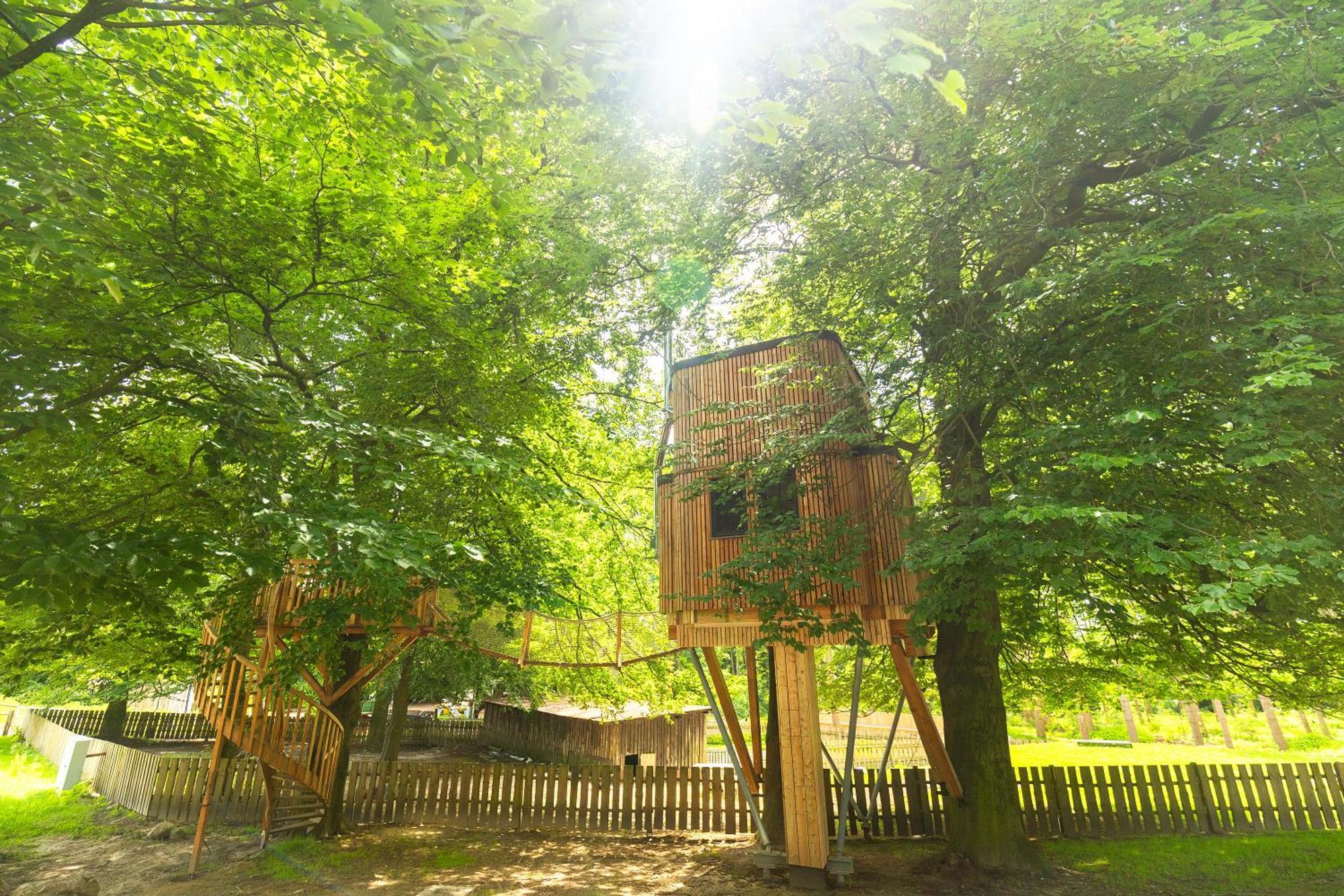 Heide Ferien - Hof Bockelmann Daire Bispingen Oda fotoğraf